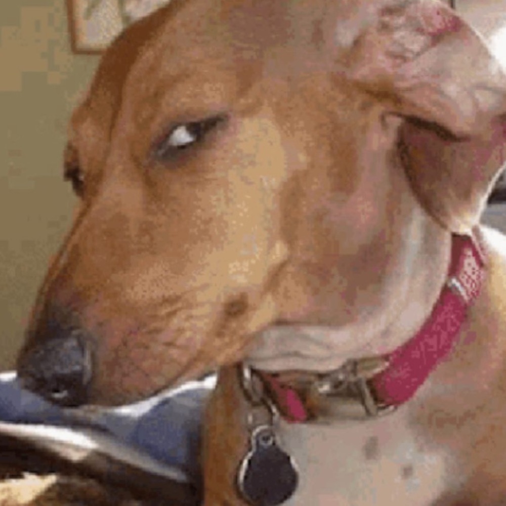 Meet your Posher, Gabriel